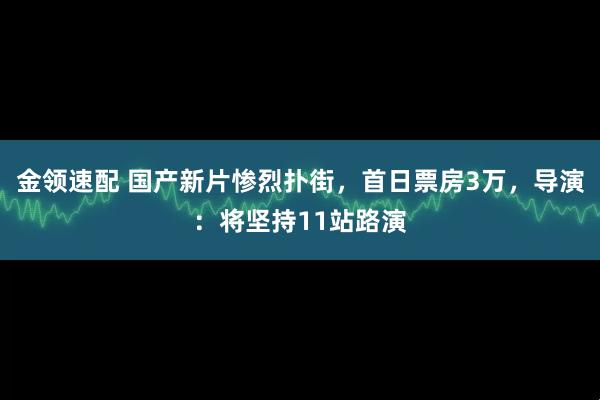 金领速配 国产新片惨烈扑街，首日票房3万，导演：将坚持11站路演