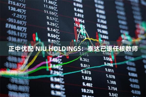 正中优配 NIU HOLDINGS：泰达已退任核数师